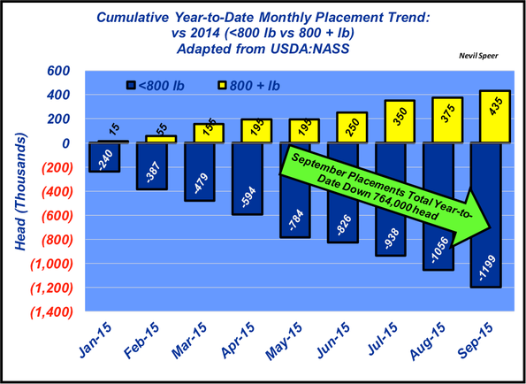 feedyard placement trend