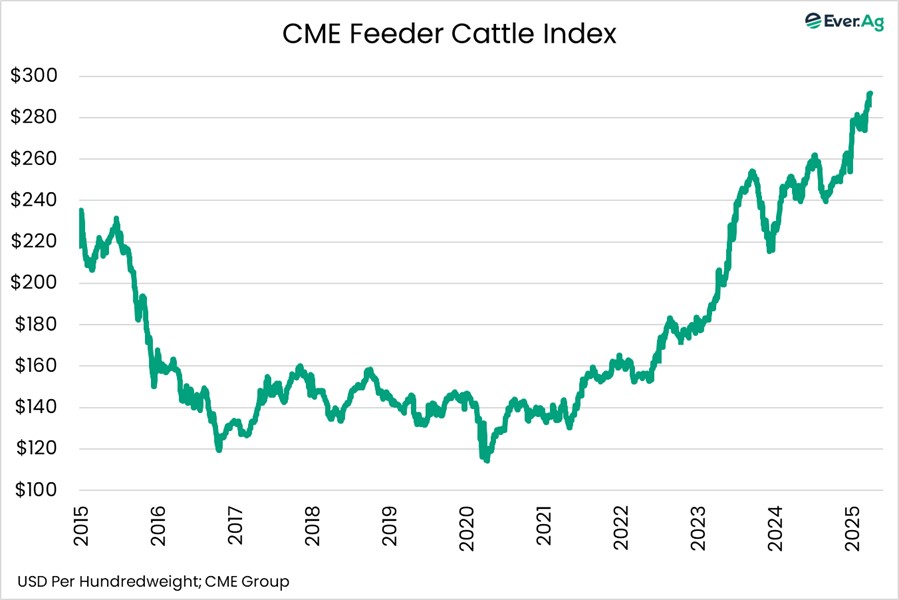 Cattle markets react to China’s retaliatory tariffs