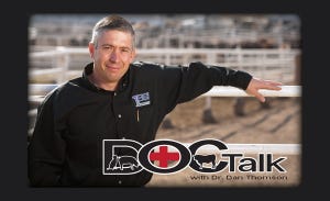 Veterinary Professor Making House Calls As Host Of National Cable Program
