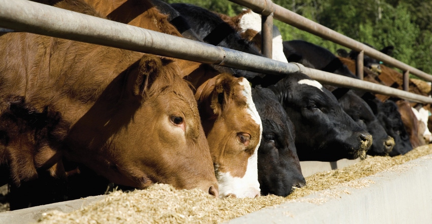 Elanco efforts highlight commitment to antibiotic stewardship Elanco efforts highlight commitment to antibiotic stewardship