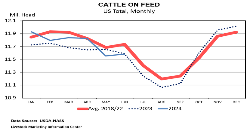 May placements exceed expectations in June cattle on feed report