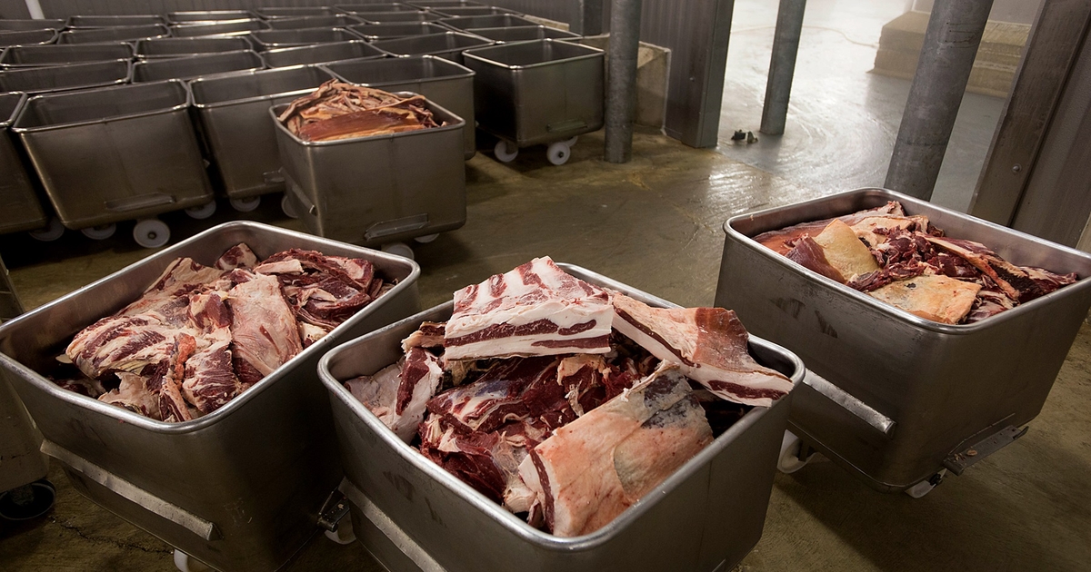 Cargill taps AI to get more meat off bone as U.S. herd slumps