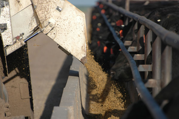 Feedstuffs Cost Comparison Spreadsheet Available To Producers