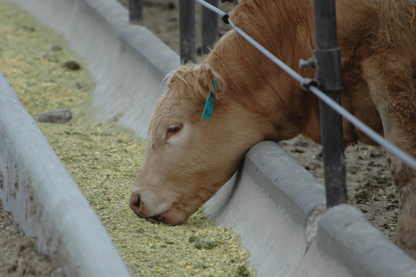 2019 marketing projections for your 2018 calf crop 2019 marketing projections for your 2018 calf crop
