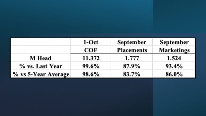 October 2026 USDA Cattle on Feed highlights