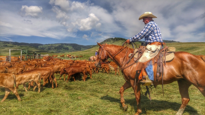 Who won BEEF’s ‘For the love of land & livestock” photo contest?