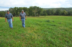 Spraying Weeds Fast-Forwards Pasture Improvement