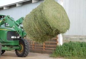 How much hay do you need this winter?