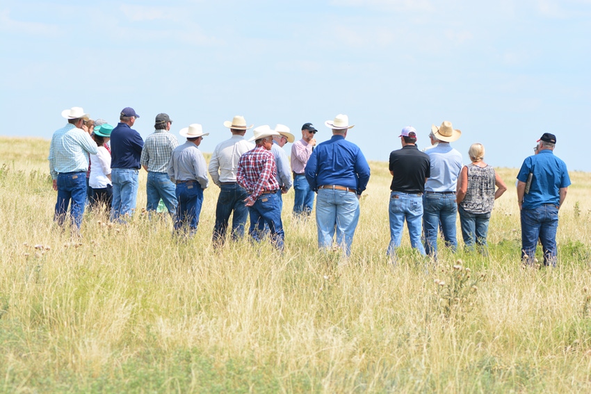 Expert offers tips on how to help burned-out pastures recover