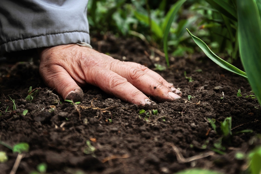 What’s the big deal about soil? Everything