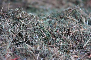 Hay Prices Likely To Increase Even More This Fall
