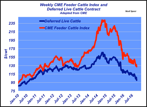 weekly cme feeder cattle trends