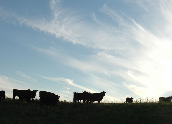 Ranch managers: Are you a seeker of truth? Ranch managers: Are you a seeker of truth?