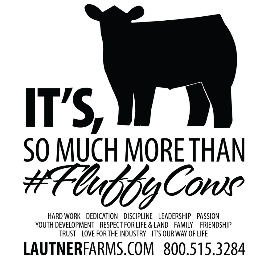 Is The #FluffyCow Trend Good For The Industry?