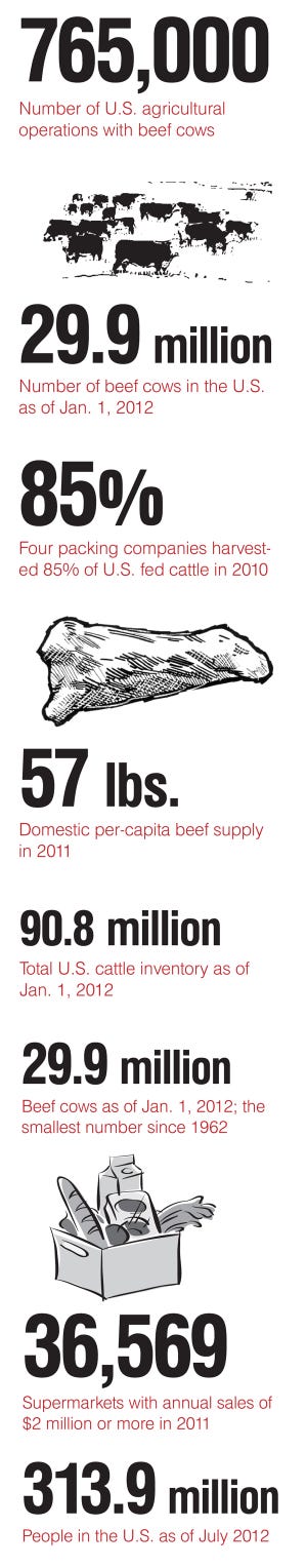 The Story Of Beef From Gate To Plate