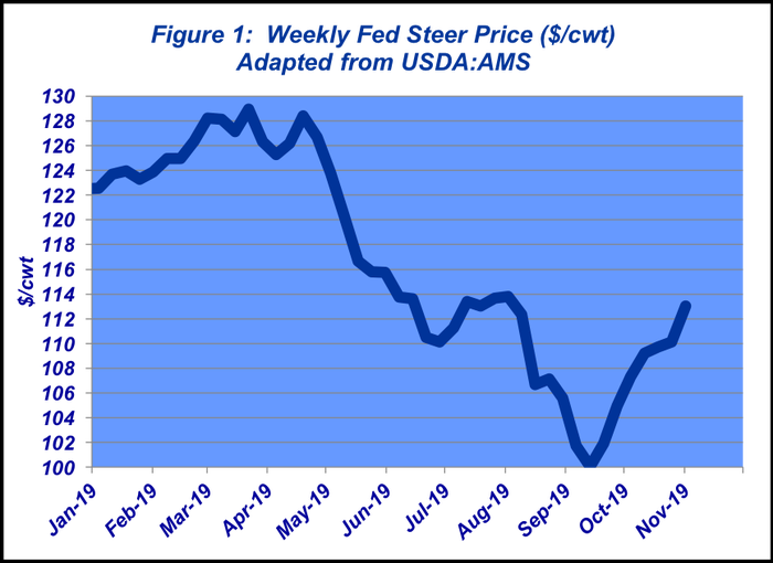 Weekly Fed Steer Price | November 2019