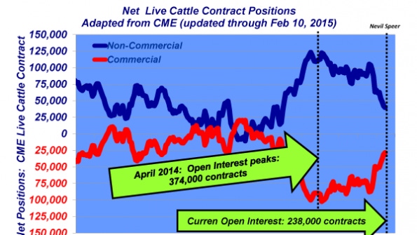 Industry At A Glance: How do net positions affect live cattle futures?
