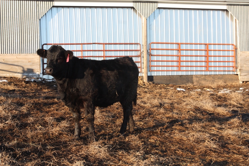 Two habits to implement in the ranch business Two habits to implement in the ranch business