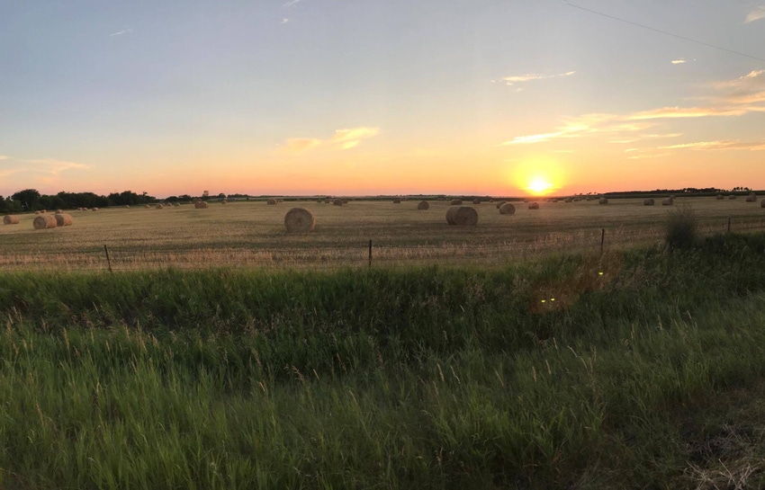 4 steps to buying the best hay for your buck