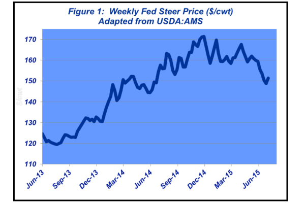 weekly fed cattle prices