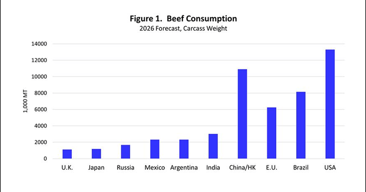 how much beef is consumed in the world? [2024 stats &... Global beef consumption and imports