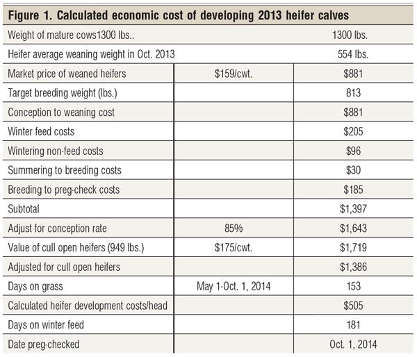 calculated economic cost of cattle