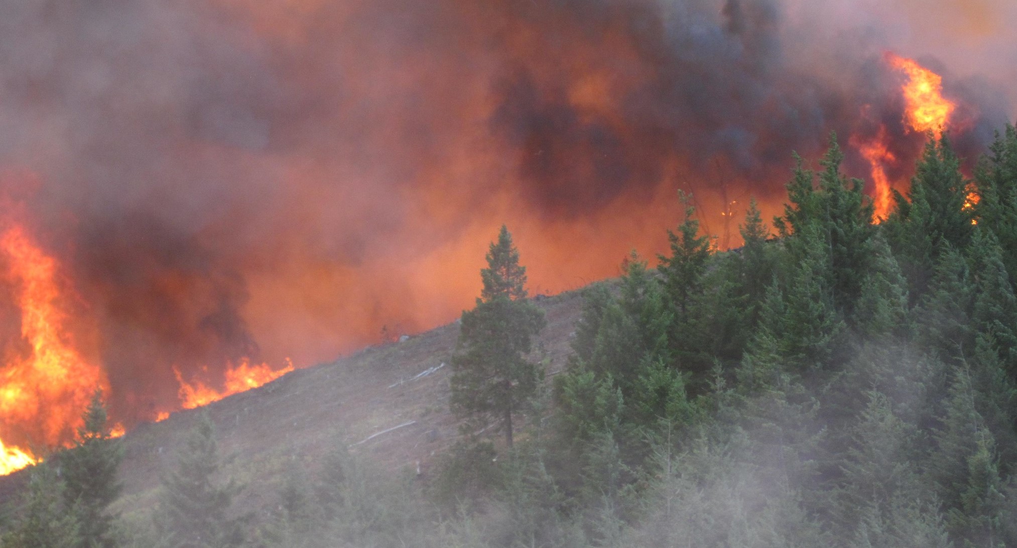 Stanford, Colo. State lead review of fire research - Vimarsana News