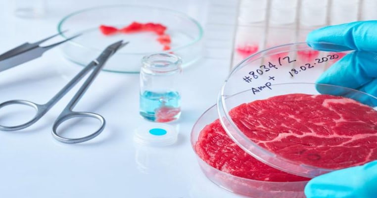 Fake Meat Lab Trending Headlines: Fake meat gaining traction in Nebraska