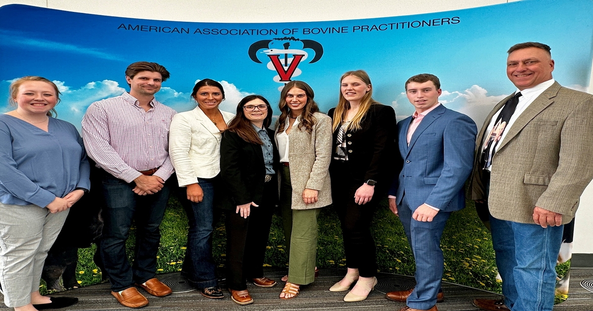 Merck, AABP Foundation award scholarships to future bovine veterinarians