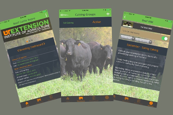 New app features reproduction management info, BEEF news