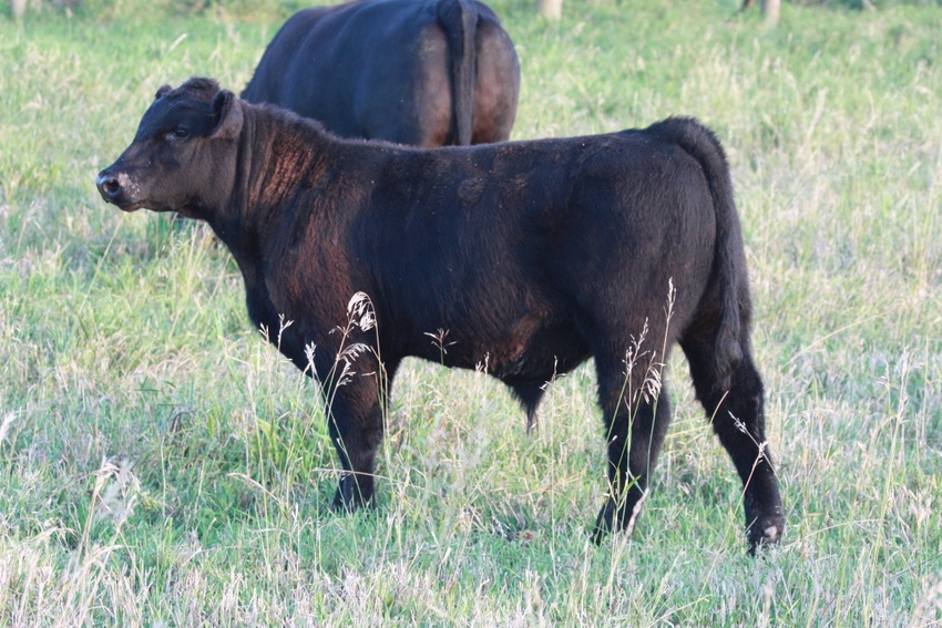 NEW photo contest: For the love of land & livestock