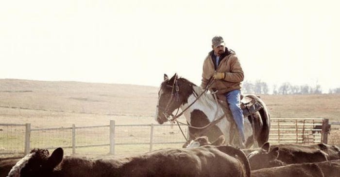 stunning Photos That Showcase Ranch Work Ethics