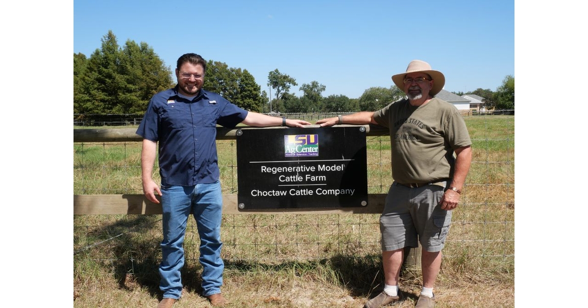 Cattle farm leads sustainable practices