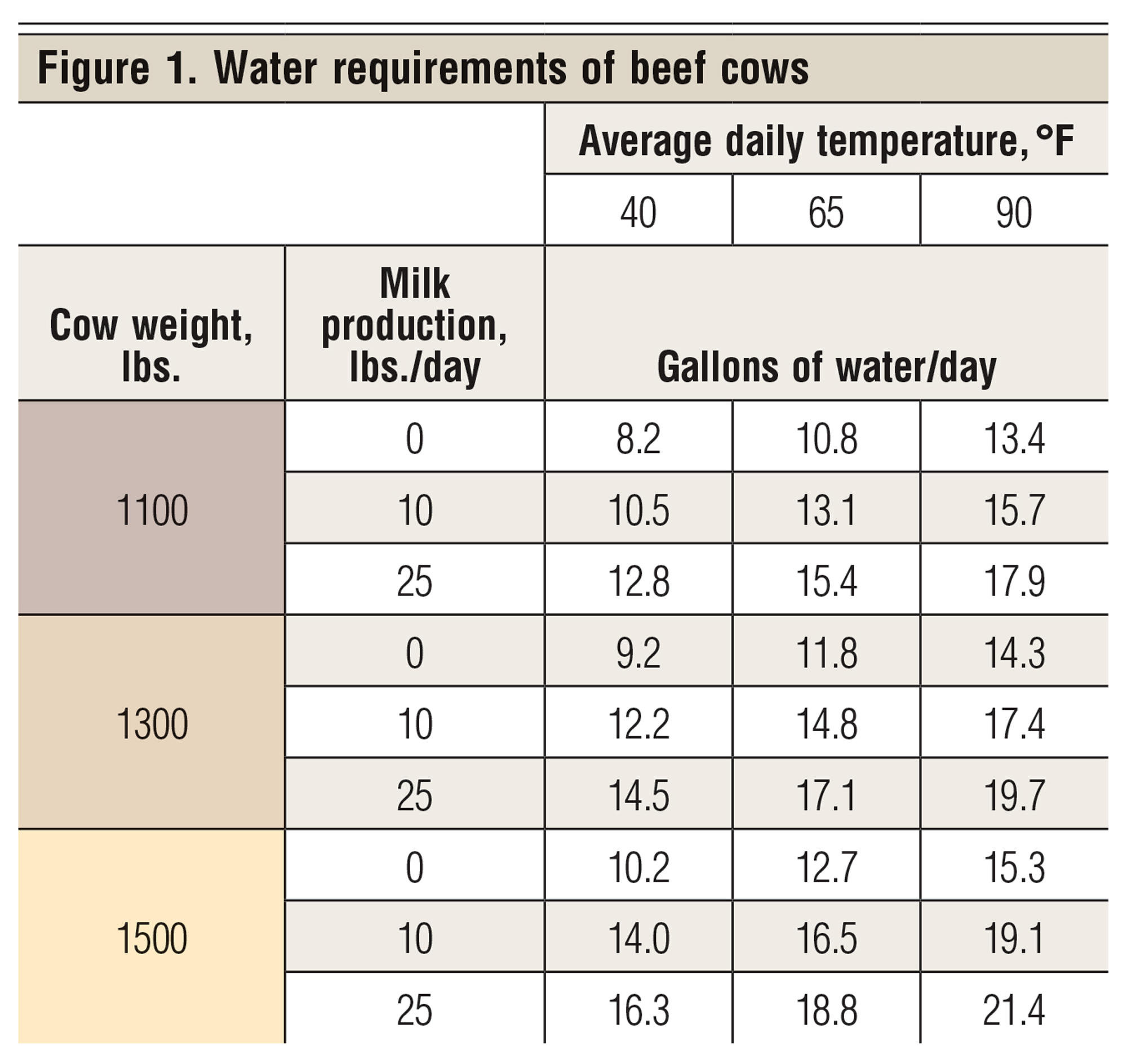 What’s the most important summer nutrient for cattle? Water