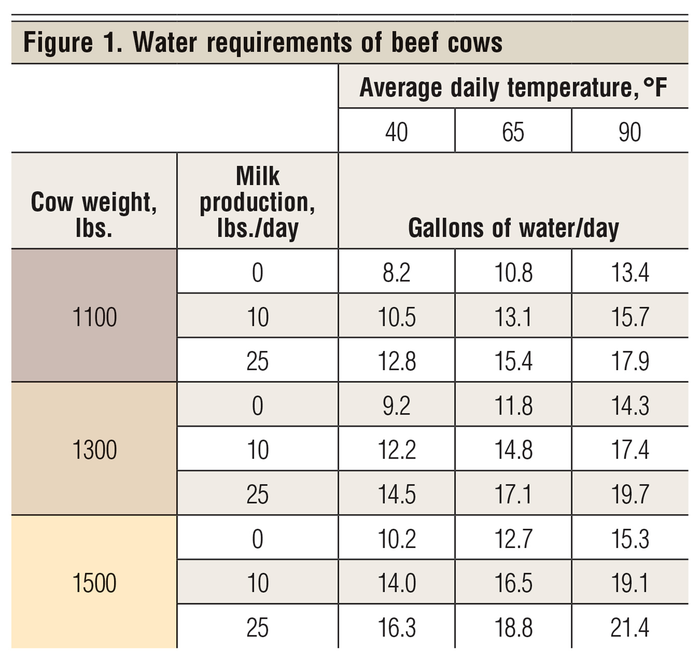 May-2018-water-requirements-for-bee_20copy_0.png