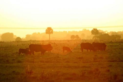 fall-in-florida-by-Kayla-Mercer_0.jpg