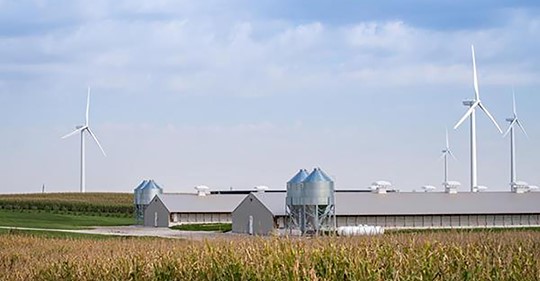 National Institute for Animal Agriculture launches Policy Review Panels - Vimarsana News