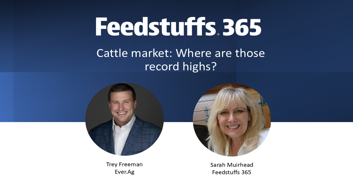 Cattle market: Where are those record highs?