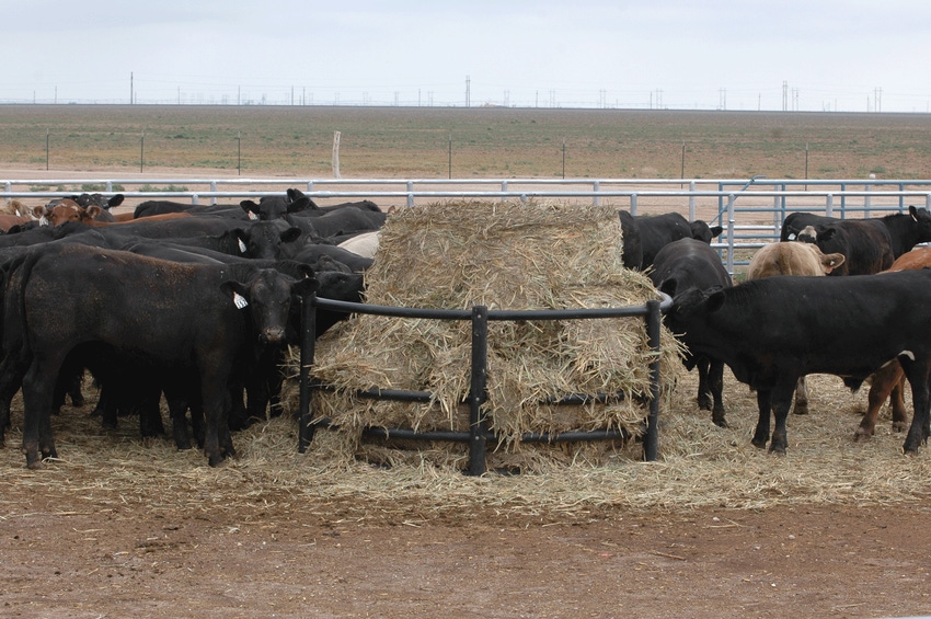 2017 spring-born calves: Production, marketing options for ranchers