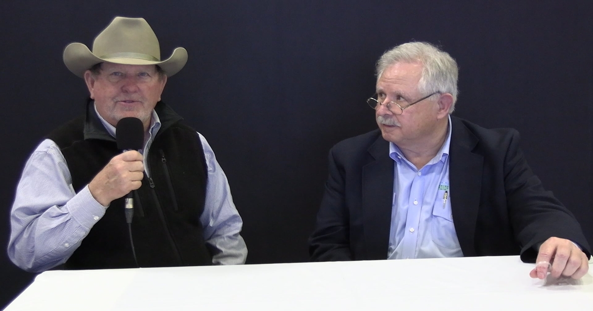 Cattle market and what’s ahead in 2025