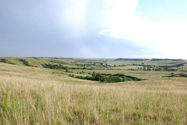 Ranchland Values Look Steady To Stronger For 2014 And Beyond