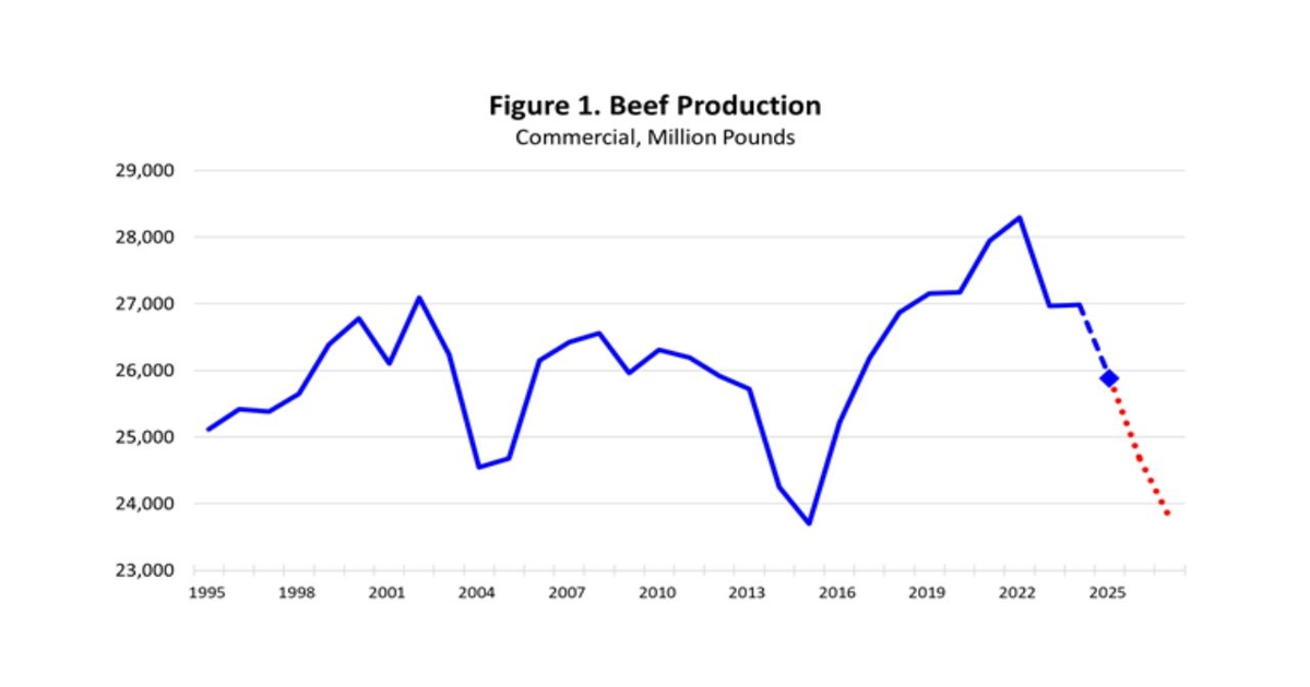 The source of high cattle and beef prices