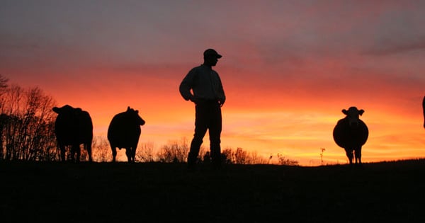 Someone Ranching Young ranchers: 8 tips from an old-timer on ranching success