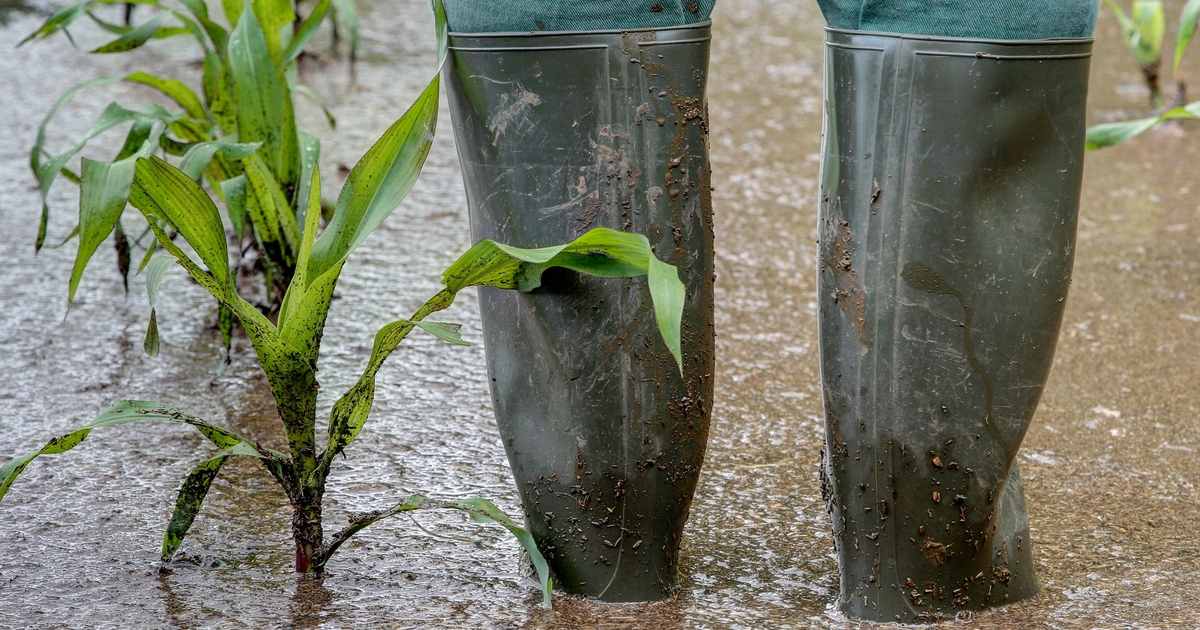 Farm Progress America, January 16, 2026