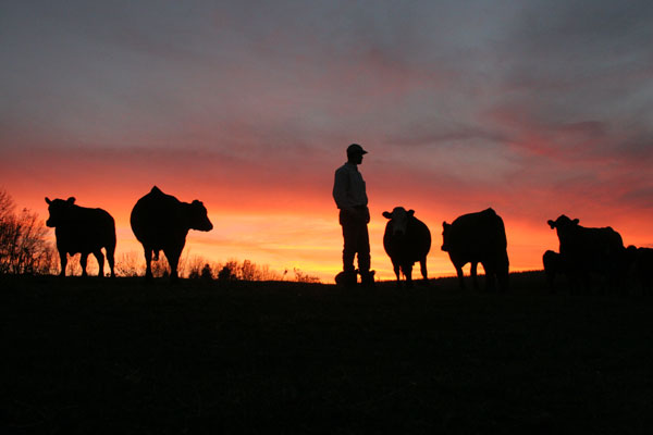 Why are beef producers always focused on the negative?