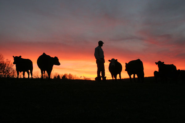 Why are beef producers always focused on the negative? Why are beef producers always focused on the negative?