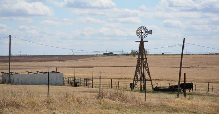 cattle-windmill_0.jpg