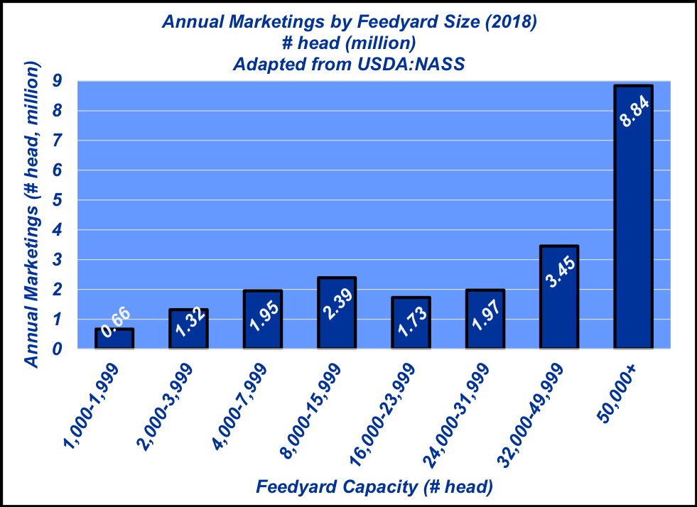 Annual feedyard marketings Heavier placements rule