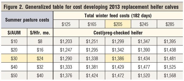 cost of raising replacement heifers