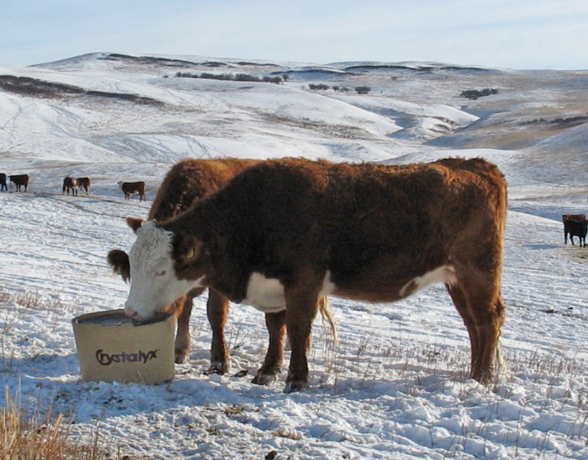 Can you improve your grazing distribution without fences? Can you improve your grazing distribution without fences?